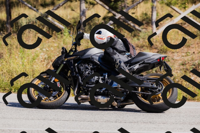 202510111318-_04A2308_c3