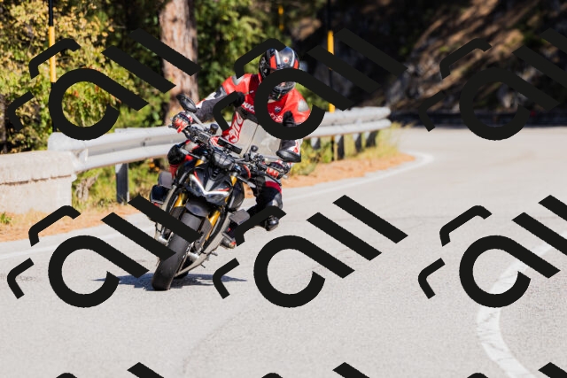 202510111318-_04A2310_c3