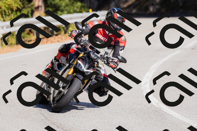 202510111318-_04A2311_c3