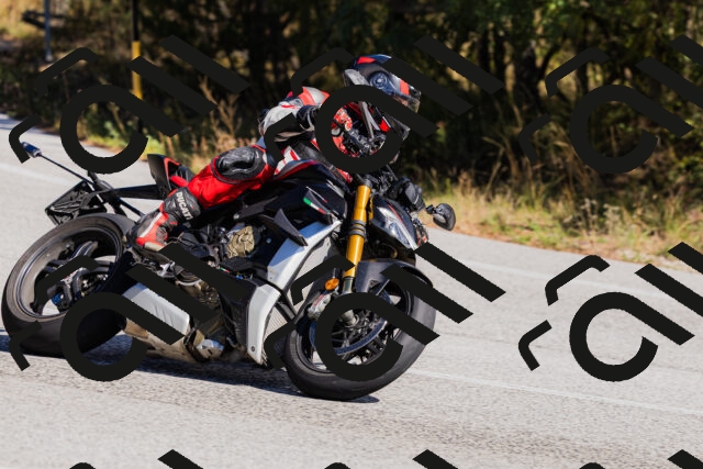 202510111318-_04A2312_c3