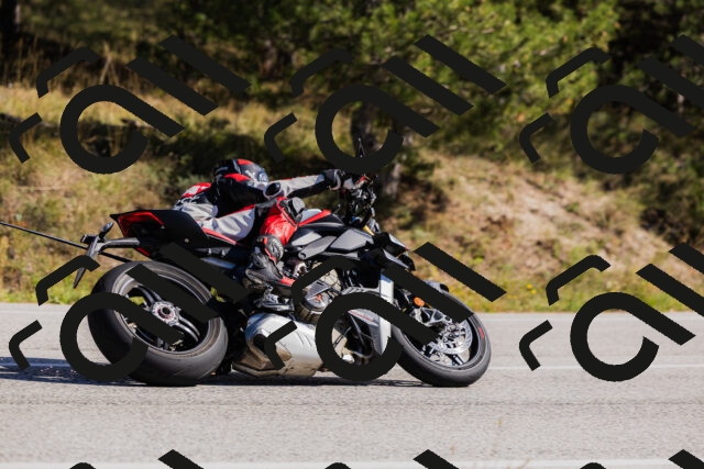 202510111318-_04A2314_c3