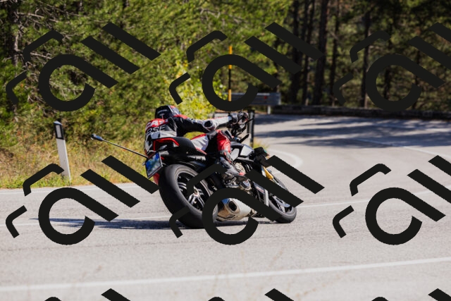 202510111318-_04A2315_c3