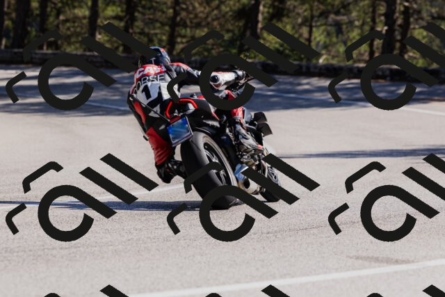 202510111318-_04A2316_c3