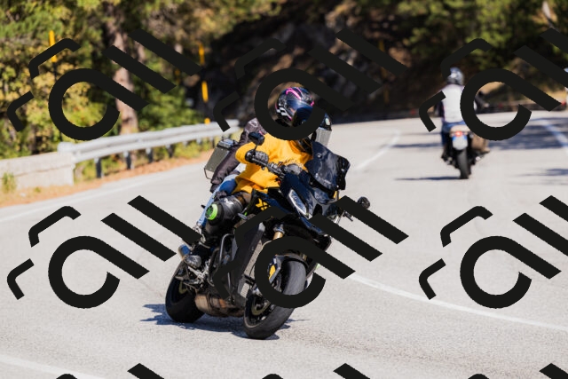 202510111319-_04A2323_c3