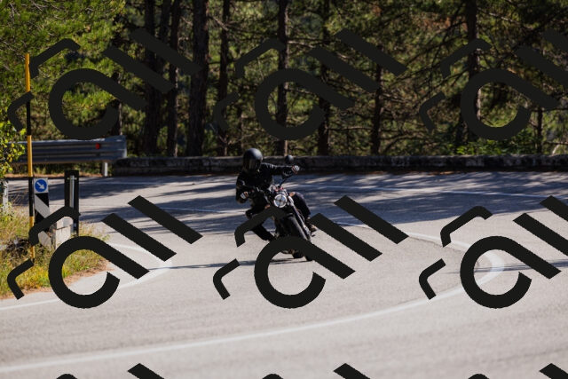 202510111320-_04A2329_c3