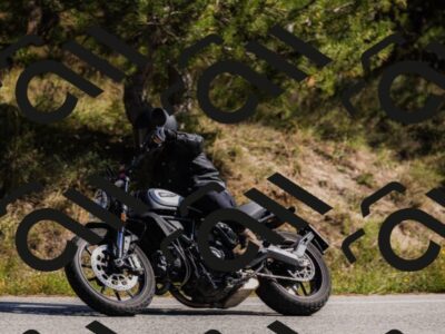 202510111320-_04A2331_c3