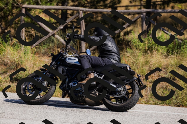 202510111320-_04A2333_c3