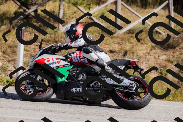 202510111321-_04A2339_c3