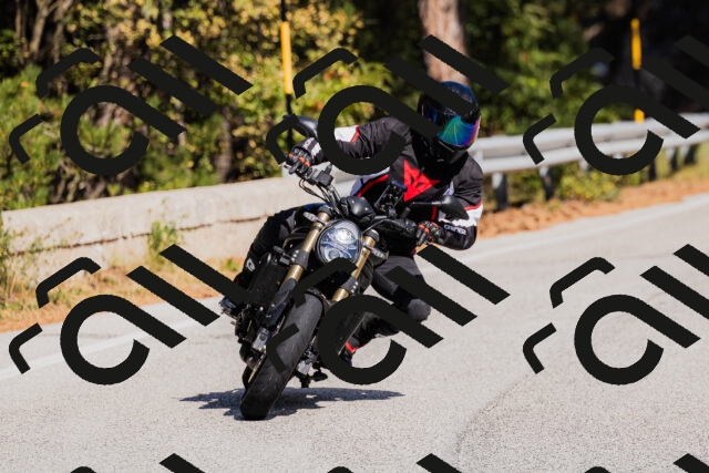 202510111324-_04A2347_c3