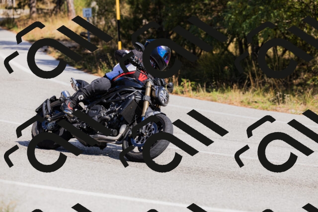 202510111324-_04A2349_c3