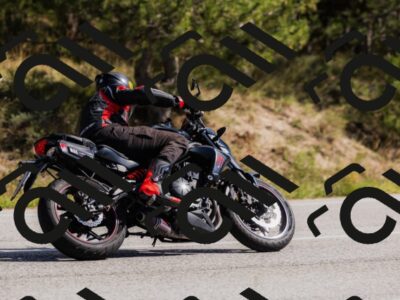 202510111324-_04A2358_c3