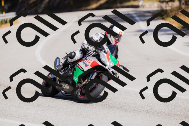 202510111326-_04A2362_c3