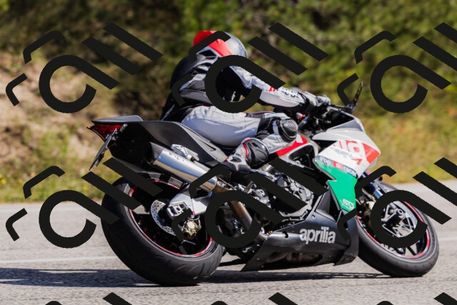 202510111326-_04A2365_c3