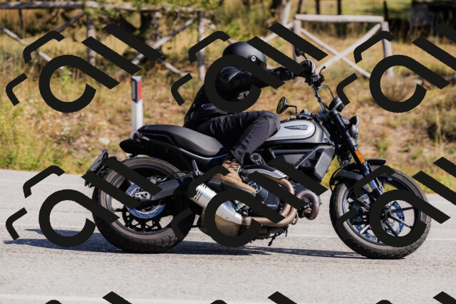 202510111329-_04A2375_c3