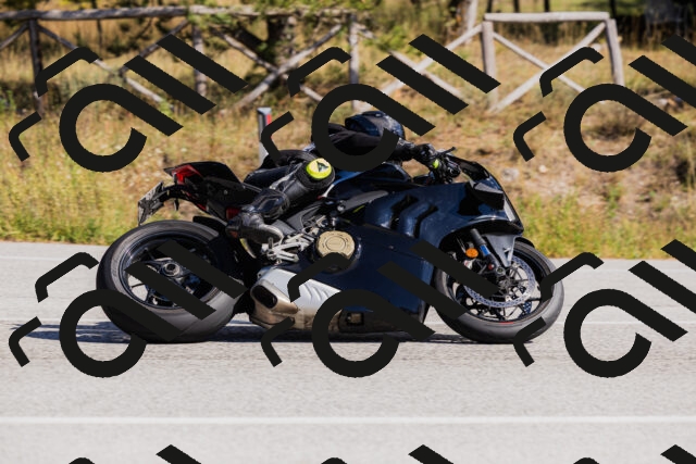 202510111330-_04A2381_c3