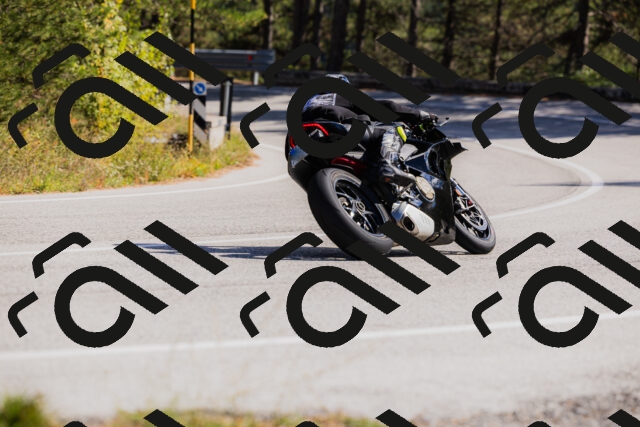 202510111330-_04A2383_c3