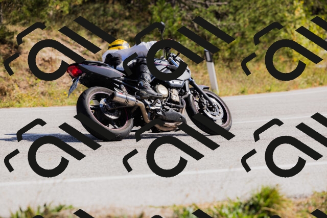 202510111330-_04A2385_c3