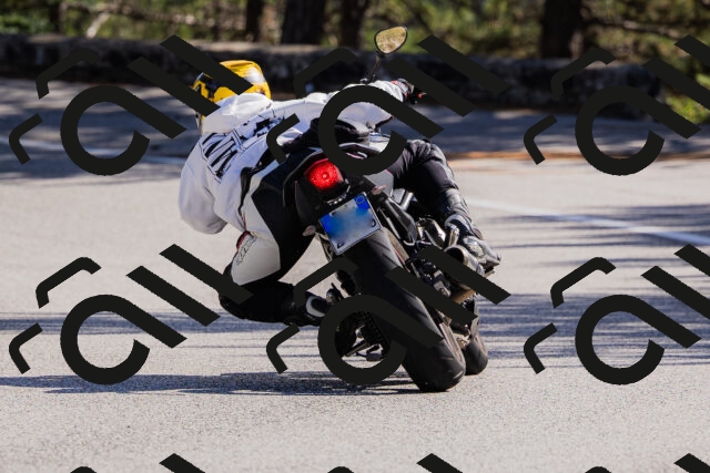 202510111330-_04A2388_c3