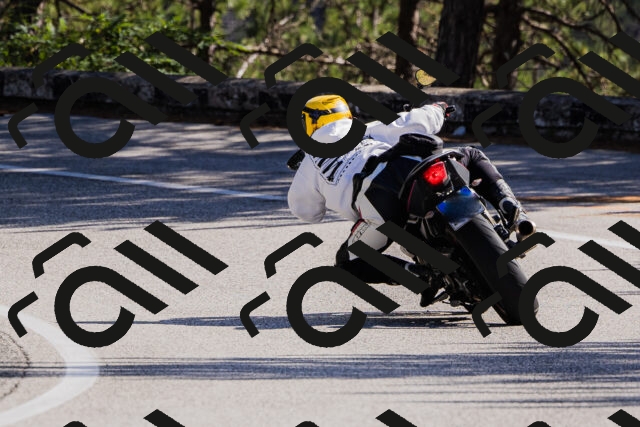 202510111330-_04A2390_c3