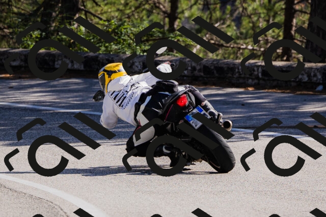 202510111330-_04A2391_c3