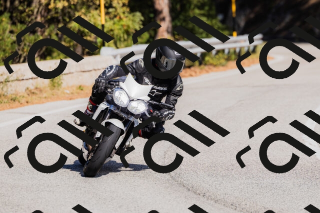 202510111331-_04A2395_c3