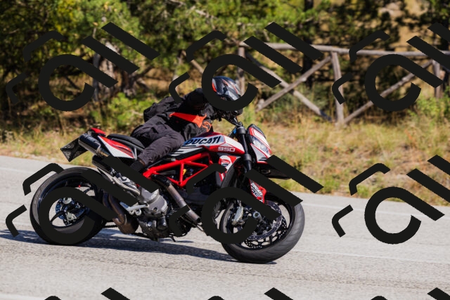 202510111331-_04A2404_c3