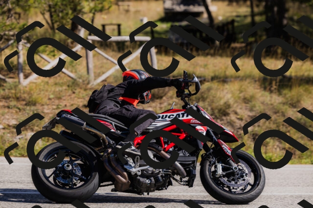 202510111331-_04A2405_c3