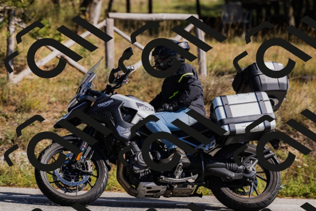 202510111331-_04A2412_c3