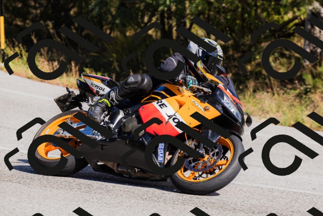 202510111339-_04A2441_c3