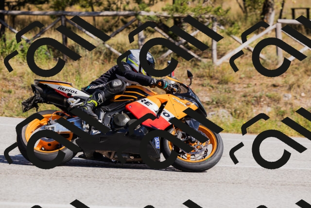 202510111339-_04A2442_c3