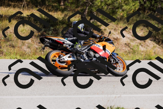 202510111339-_04A2443_c3