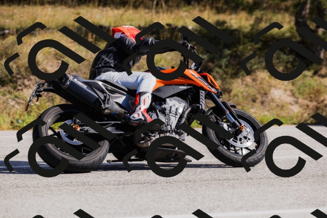 202510111339-_04A2446_c3