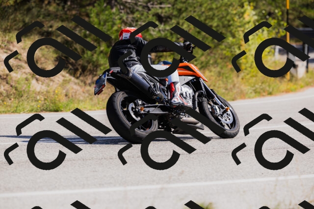 202510111339-_04A2447_c3