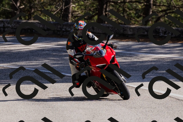 202510111340-_04A2449_c3