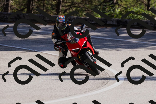 202510111340-_04A2450_c3