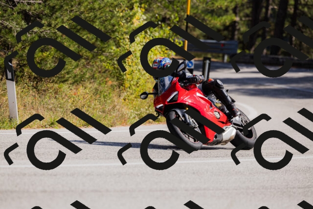 202510111340-_04A2452_c3