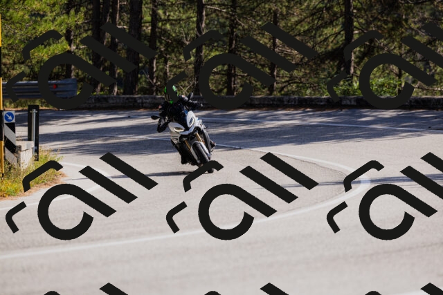 202510111342-_04A2456_c3