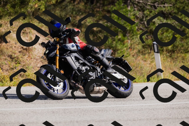 202510111344-_04A2469_c3