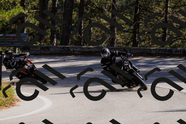 202510111344-_04A2474_c3