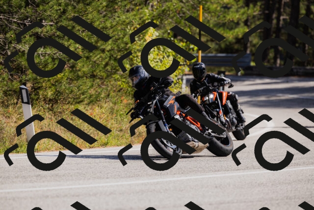 202510111344-_04A2478_c3