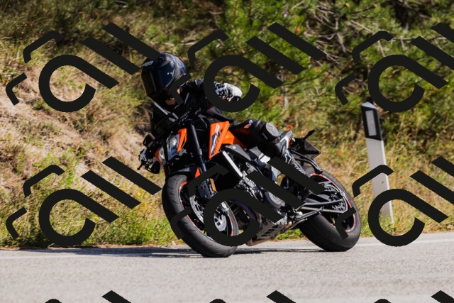 202510111344-_04A2479_c3