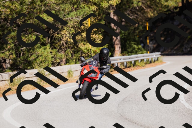 202510111344-_04A2482_c3