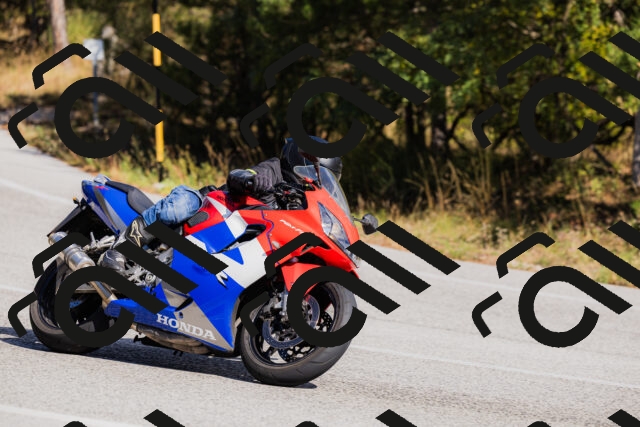 202510111344-_04A2485_c3