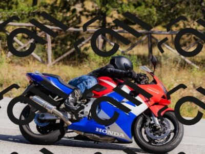 202510111344-_04A2486_c3