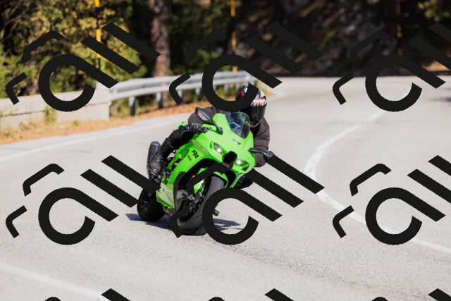 202510111344-_04A2491_c3