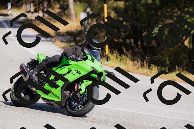 202510111344-_04A2492_c3