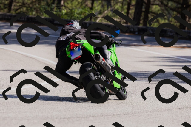 202510111344-_04A2497_c3