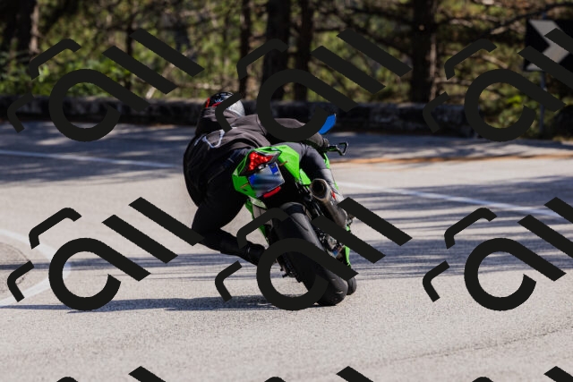 202510111344-_04A2498_c3