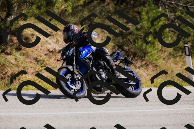 202510111346-_04A2514_c3