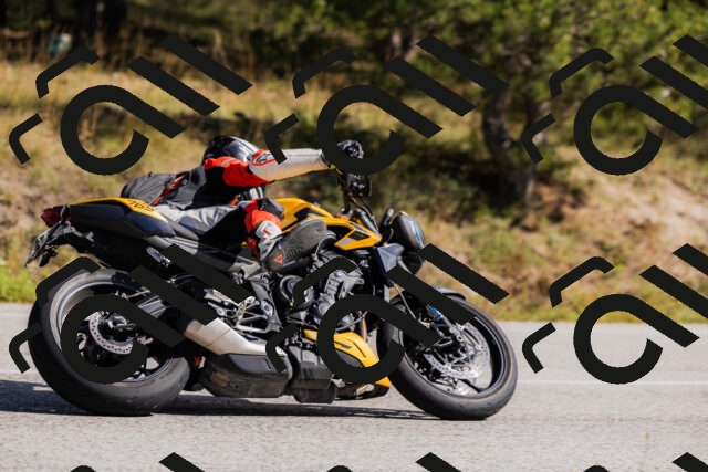 202510111346-_04A2518_c3